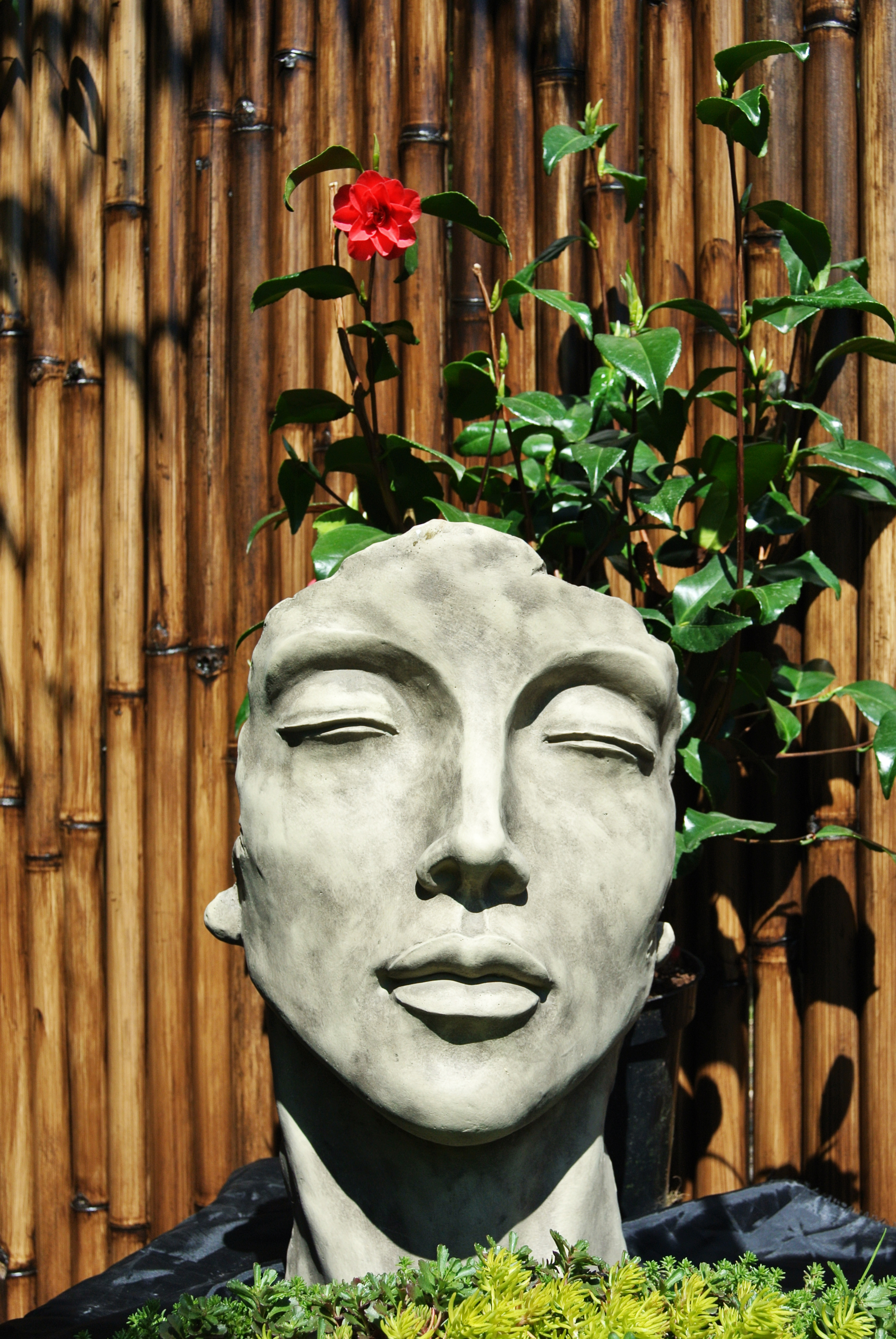 Gesicht Frau - Steingrau - Antikstein  50 cm