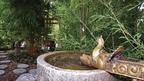 bambuspark-hofstetter-muehle-brunnen