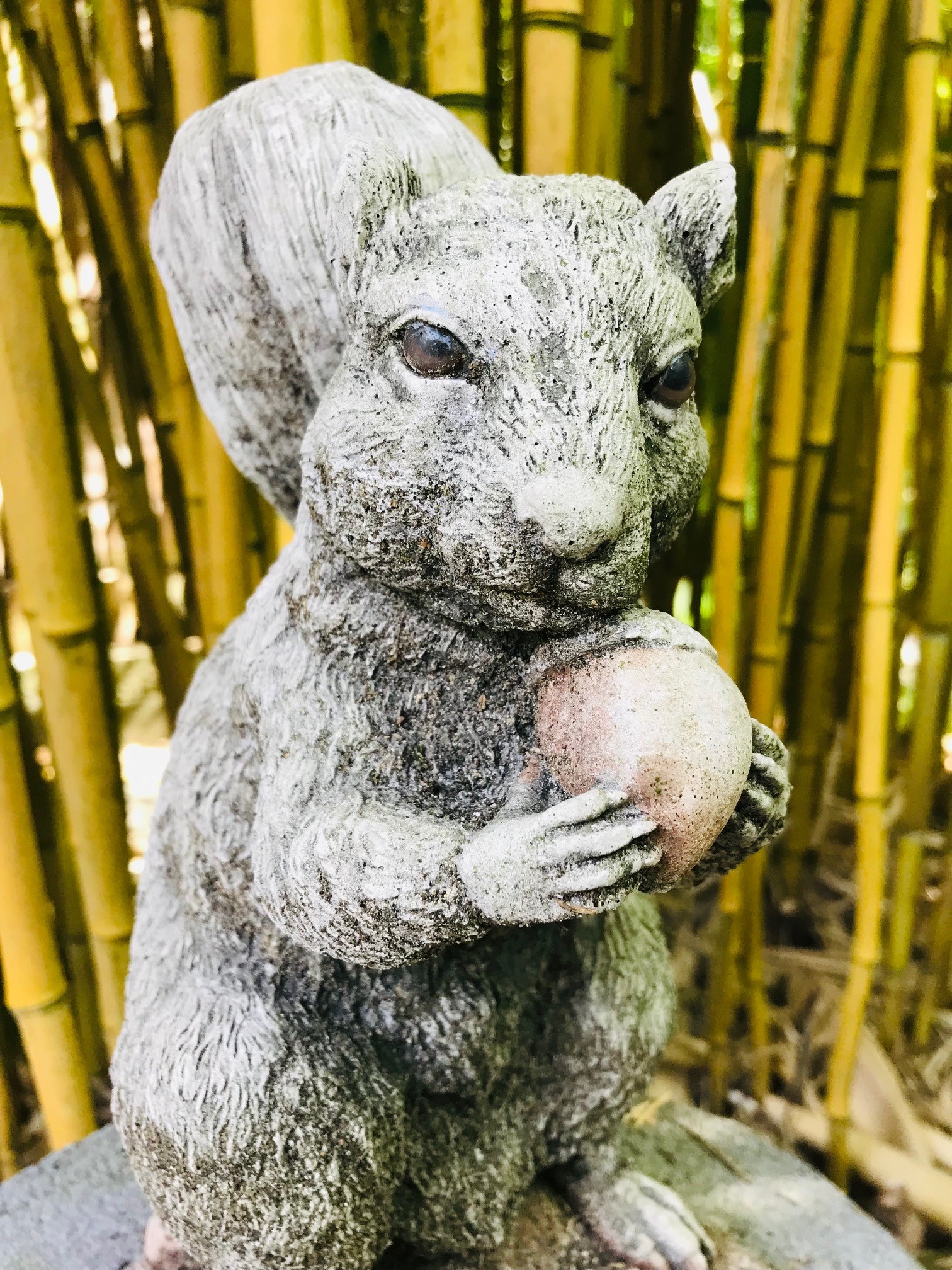 Eichhörnchen mit Eichel