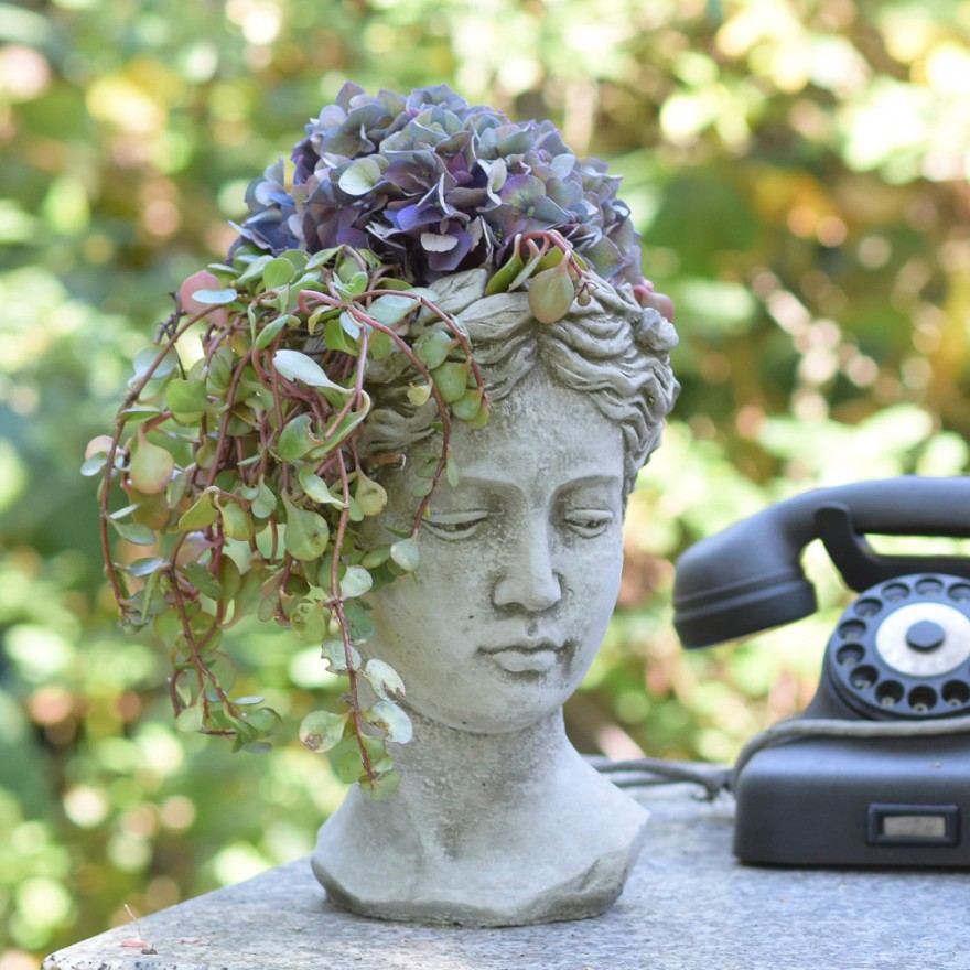 Pflanzkopf-H27-5kg Pflanzkopf Mädchen Mittel