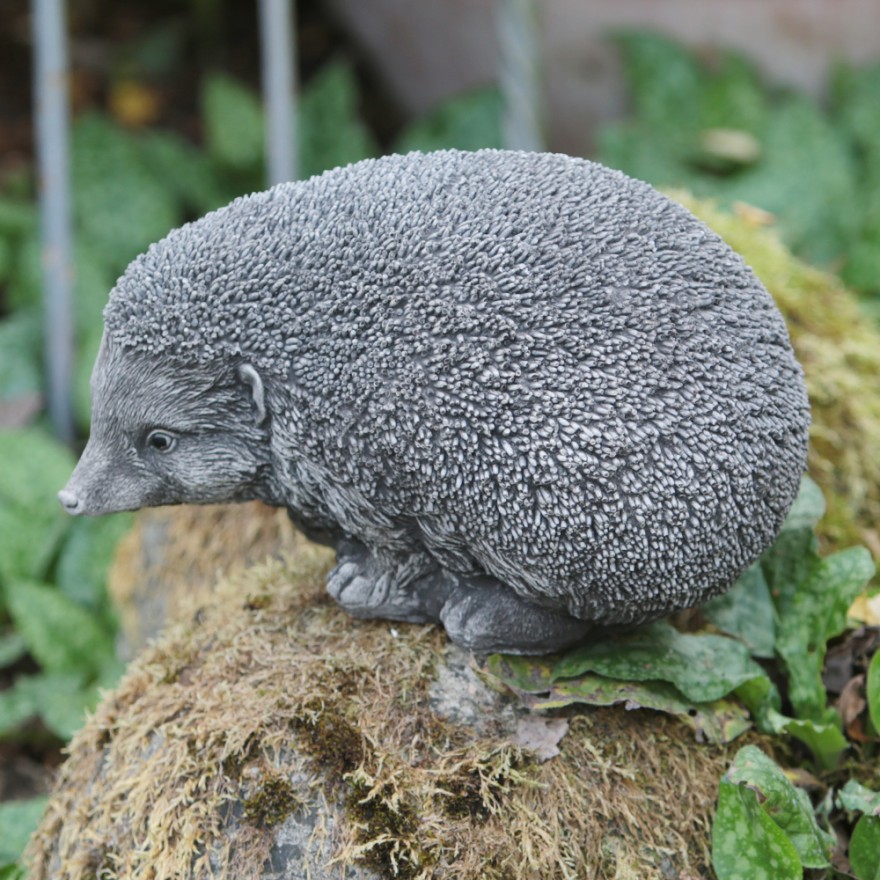 Igel Großer Igel
