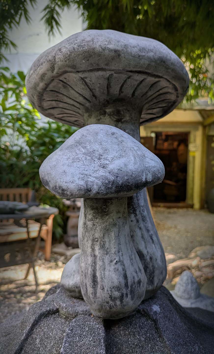 Mega-Pilze