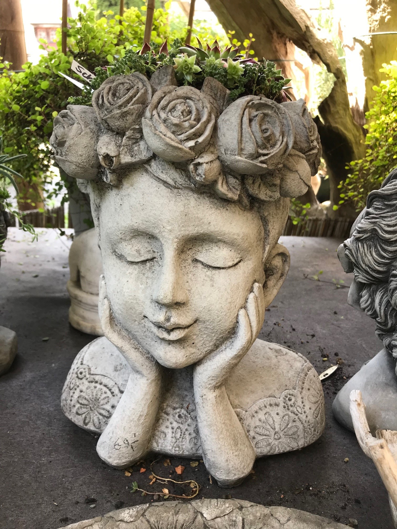 Kopf Pflanzkopf  - Kopf auf Händen