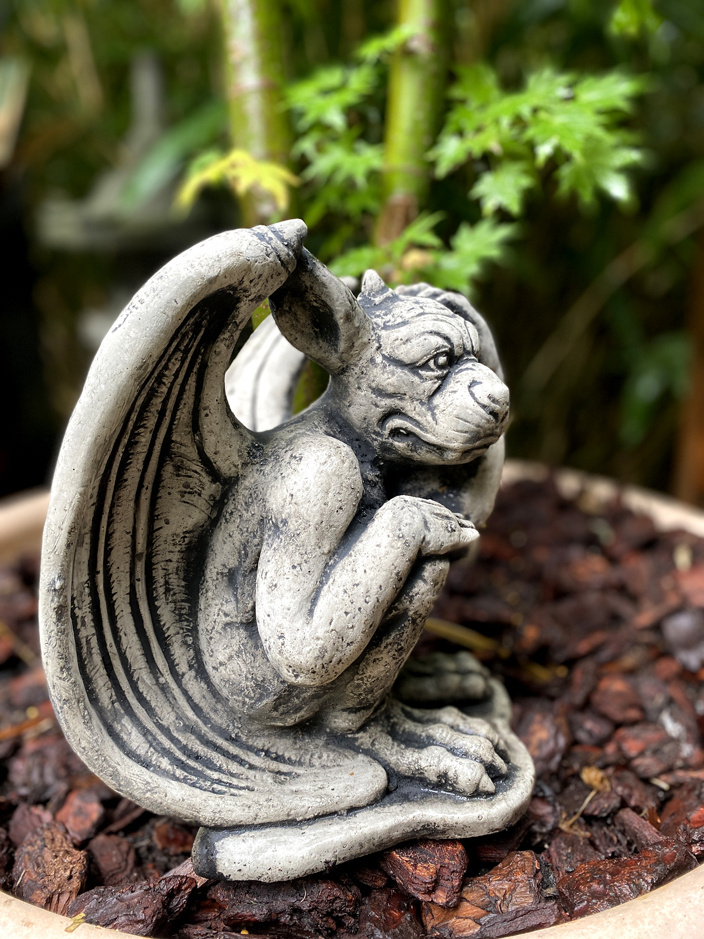 Kleiner ausheckender Gargoyle