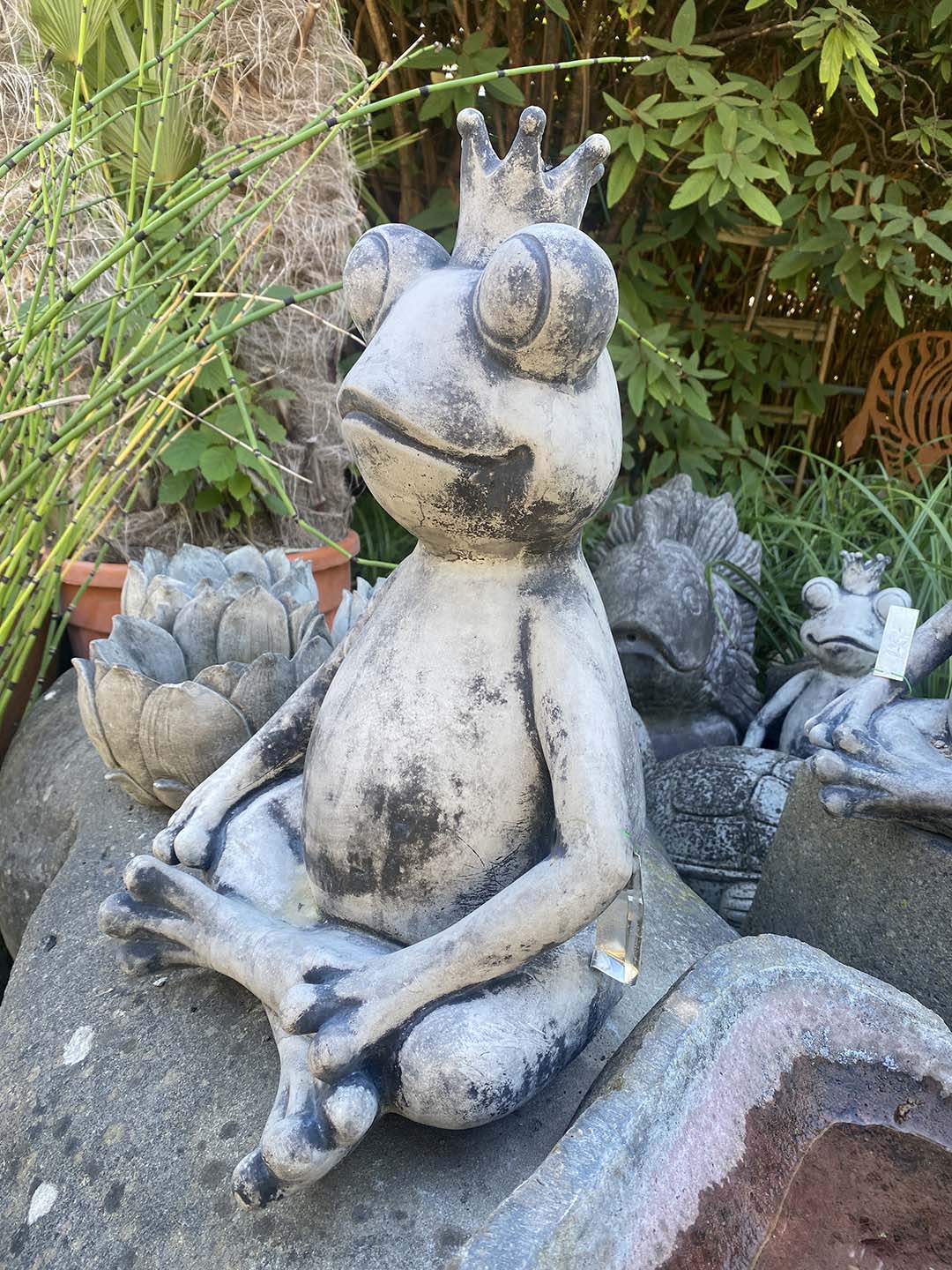 Großer Froschkönig