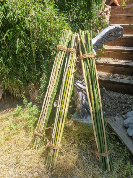 Nisthilfen Baumaterial - Bambusstangen aus eigenen Anbau