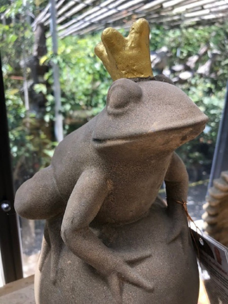 Froschkönig mit goldener Krone