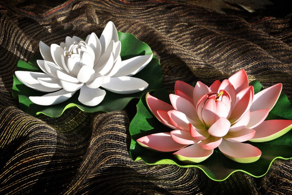 Lotusblüte auf Blatt, groß