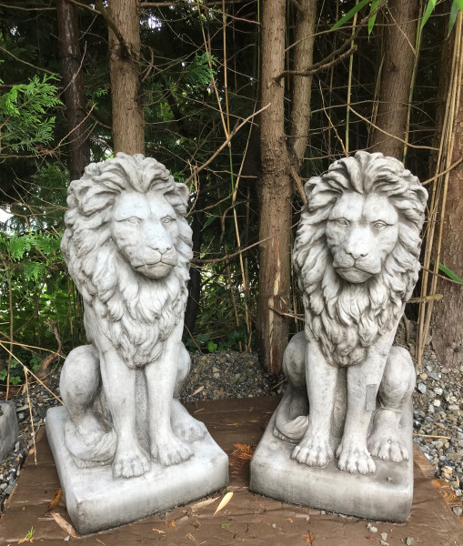 Löwen Paar